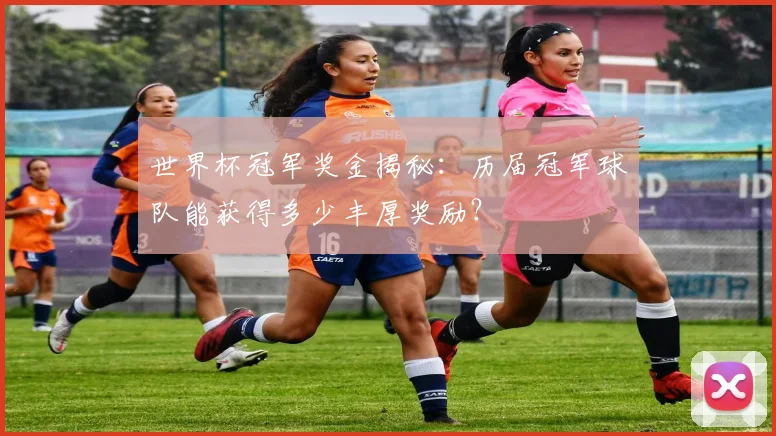 世界杯冠军奖金揭秘：历届冠军球队能获得多少丰厚奖励？