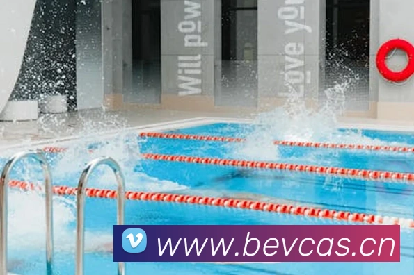 星空平台登录入口平台生态图