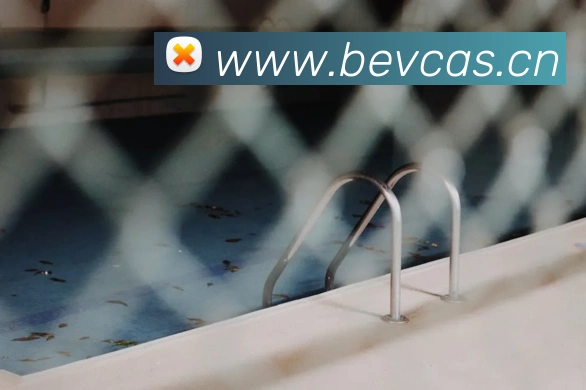 星空平台登录入口全站App